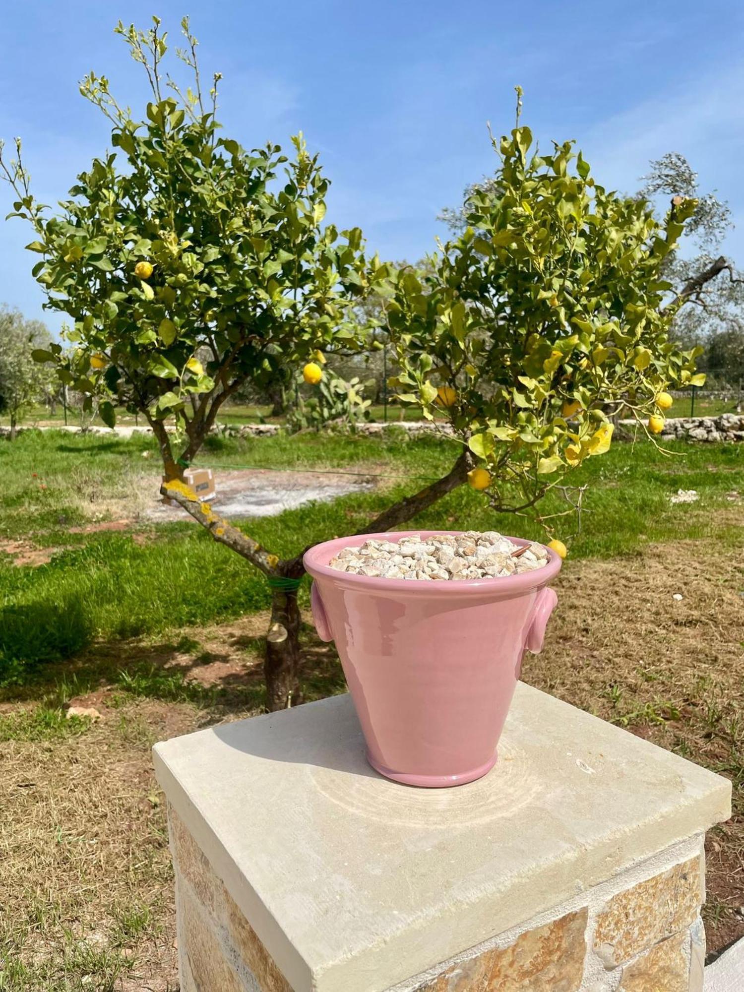 Villa Trullo Bubamare San Michele Salentino Exterior foto