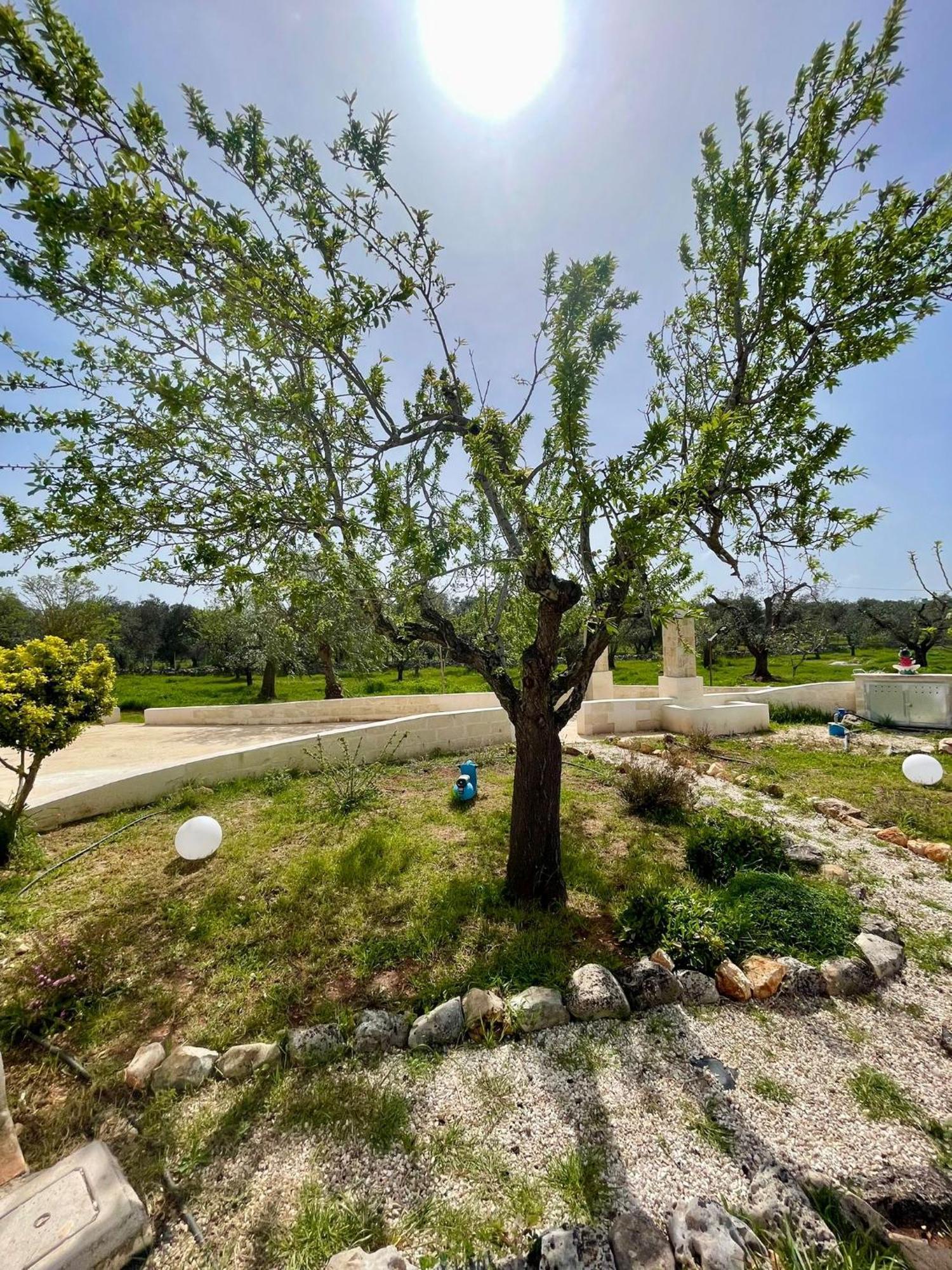 Villa Trullo Bubamare San Michele Salentino Exterior foto